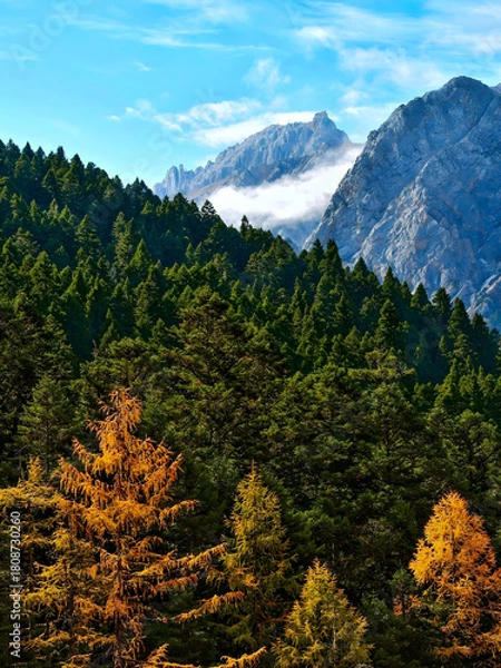 Obraz Majestic Mountain Peaks with Golden Autumn Foliage and Evergreen Forest