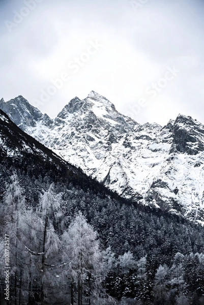 Obraz Snow-Capped Mountain Peaks Above Winter Forest Valley