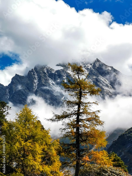 Obraz Alpine Mountain Peaks with Golden Larch Trees in Autumn
