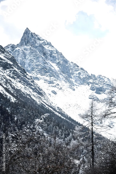Obraz Majestic Alpine Peak with Snow-Covered Cliffs and Evergreen Forest Valley