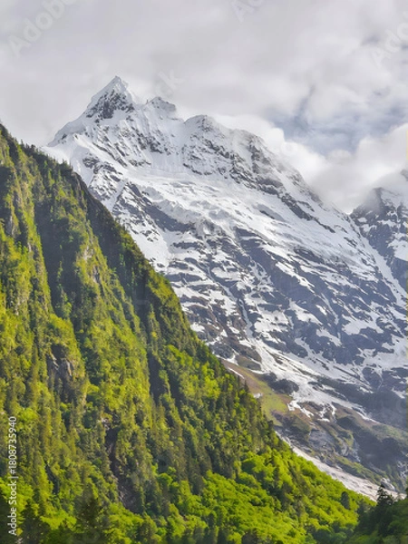 Obraz Snowcapped Alpine Mountain Peak Above Green Forest Valley