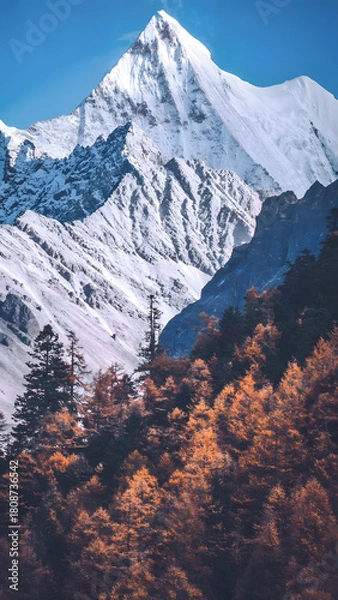 Obraz Snowcapped Mountain Peak with Golden Autumn Forest Below