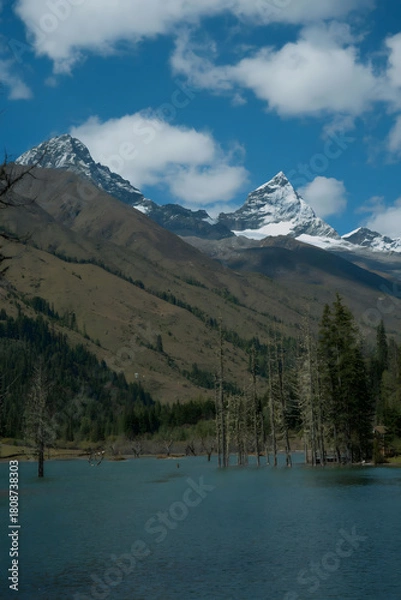 Obraz Alpine Peaks Reflecting in Pristine Mountain Lake with Submerged Forest