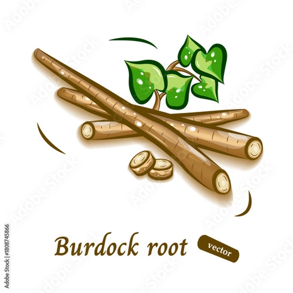 Obraz ゴボウのポップなイラスト｜可愛らしい野菜のベクター素材