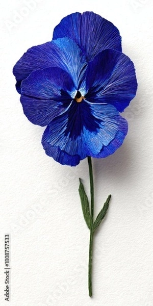 Fototapeta Deep Blue Pansy Flower With White Speckles On Stem Against Textured White Background Studio Shot