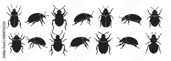 Fototapeta Set of Black silhouette of various beetles isolated on white background, graphic illustration. concept of insects, bug icons, entomology study, design element for decor and print.