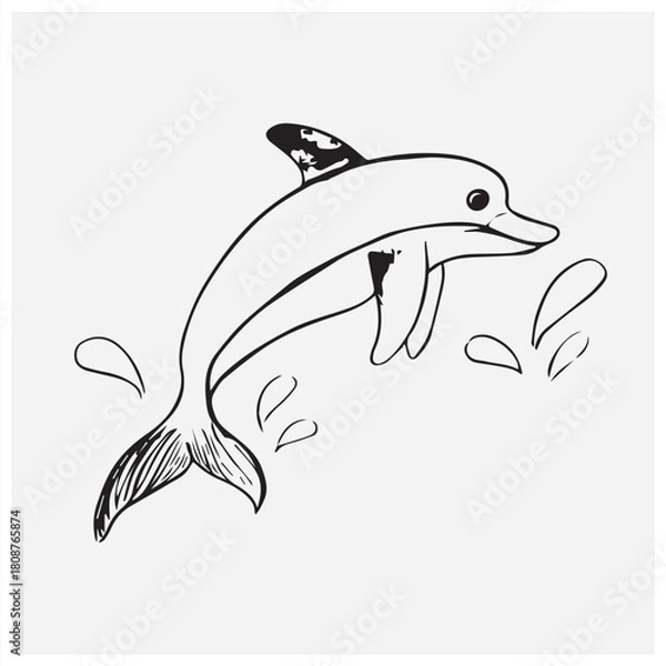 Fototapeta dolphin vector illustration