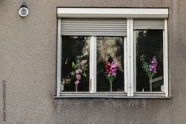 Obraz window flowers on gray wall