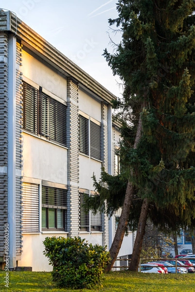 Fototapeta modern building facade with horizontal window blinds and evergreen trees