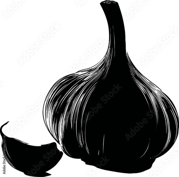 Obraz black and white onion illustration