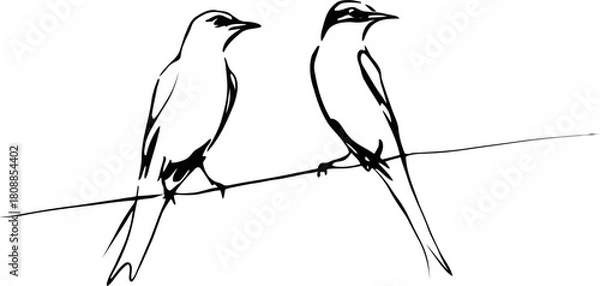 Obraz line art of bird in black and white design