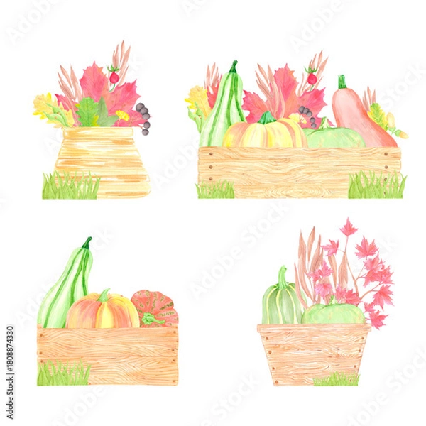 Obraz Hand drawn watercolor pumpkins berries and leaves in wooden boxes set. Illustration isolated on white background. Can be used for postcard, label and other printed products.
