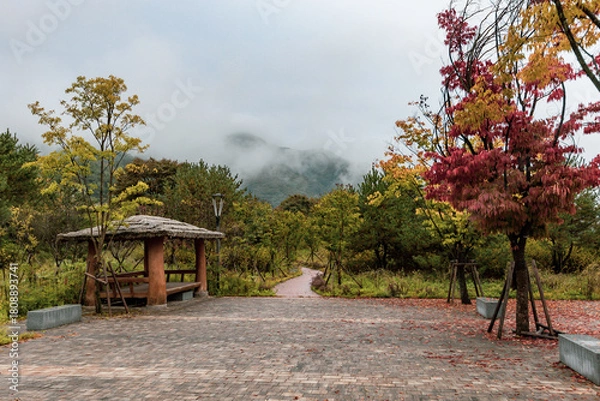 Fototapeta Beautiful autumn park with gazebo Gyeongju ancient capital of South Korea