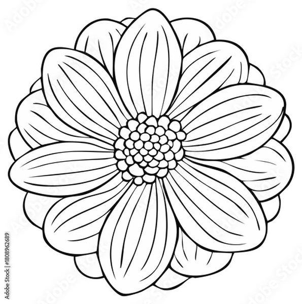 Obraz Stylized botanical flower line art drawing with radiating petals and textured center