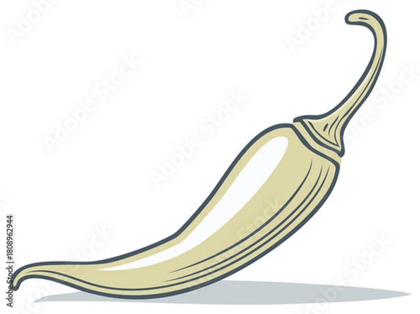 Obraz Stylized pale chili pepper vector illustration with a curved shape for food and spice design.