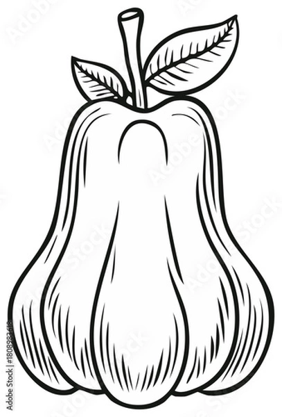 Fototapeta Rose apple outline illustration with leaves and stem drawn with thick black lines for coloring books