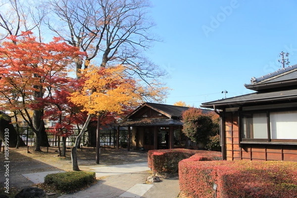 Fototapeta 福島県飯坂温泉　旧堀切邸の秋風景