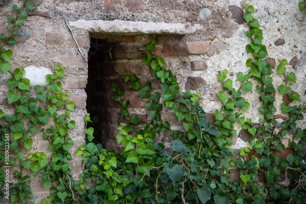 Fototapeta Close-up low-angle view through a narrow opening in a weathered brick wall, revealing a historic ruin or abandoned structure. Texture, decay, and architectural detail