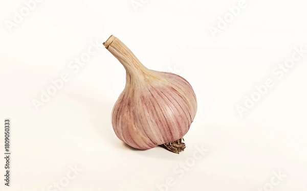 Fototapeta Garlic bulb isolated on white background. Clipping path.