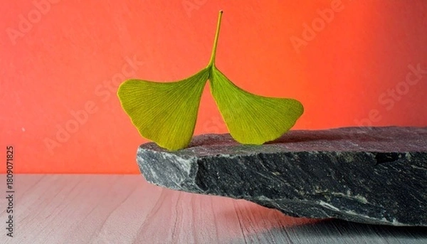 Fototapeta Close-up macro shot of a bright green Ginkgo Biloba leaf shaped like a butterfly, balanced on the rough edge of a natural black stone slab, against a vibrant, high-contrast red-orange background