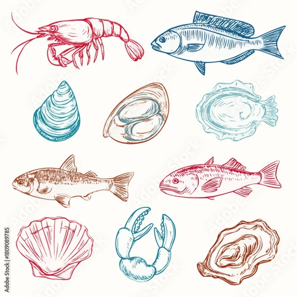 Obraz A doodle clipart set of seafood items including shrimp, mussel, fish fillet, crab claw, squid, oyster and scallop for restaurant branding and market signage