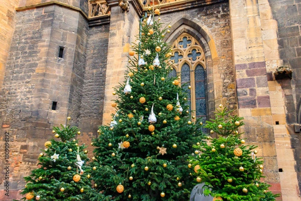 Obraz Decorated Christmas trees in old town of Colmar, Alsace, France