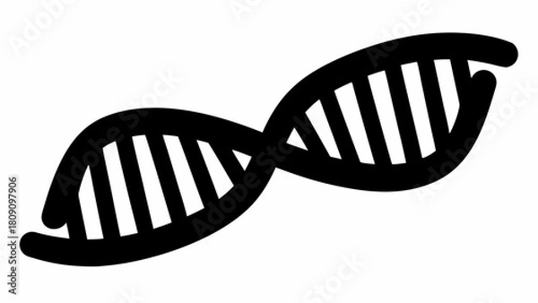 Fototapeta Illustration of a black dna double helix strand with visible base pairs on a white background view
