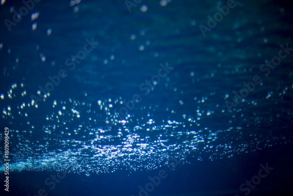 Obraz blurred bubbles under water for backgrounds