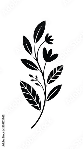 Fototapeta Black silhouette of a stylized flowering plant with leaves and buds on a white background vector