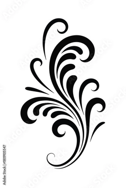 Fototapeta Black swirling flourish decorative element on white background ornament