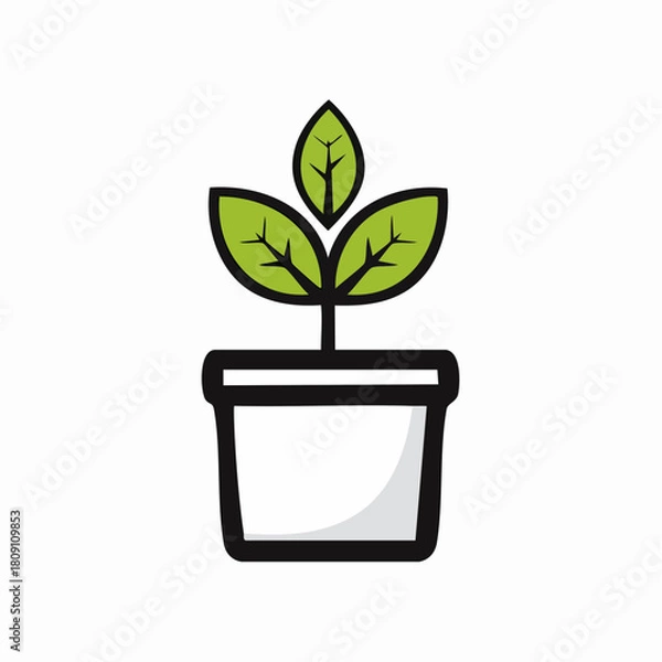 Obraz Simple Green Plant Growing in a White Pot Symbol of Growth, Nature, and Sustainable Living