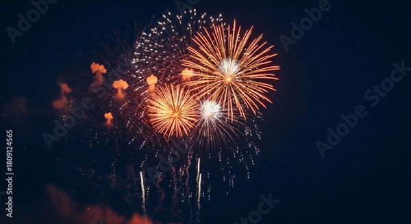 Obraz Fireworks display with transparent background