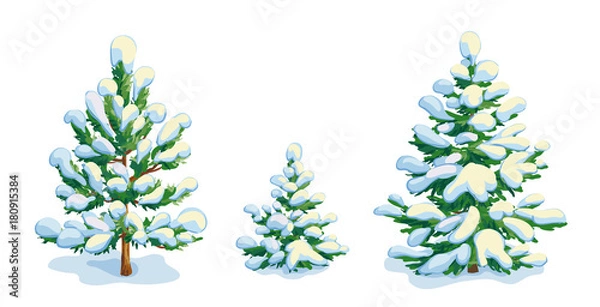 Fototapeta Little snow-covered pine tree and two fir trees. Vector dwawing