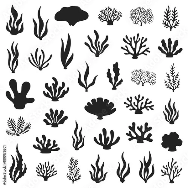 Obraz Dive into Design with this Collection of Seaweed, Shells, and Coral Silhouettes, Perfect for Nautical Themes, Underwater Illustrations, and Marine Biology Projects, Originally Vector Graphics