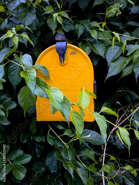 Fototapeta Yellow Mailbox