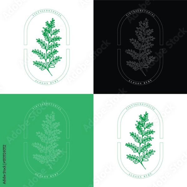 Fototapeta Elegant Vintage Botanical Leaf Monoline Logo Template