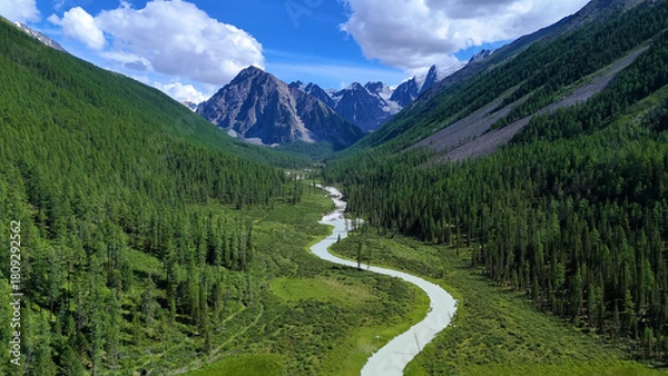 Obraz The Shavla River in the Altai Mountains in summer, as seen from a drone