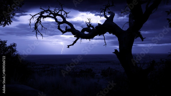 Fototapeta bent. A lone gnarled tree silhouetted against a stormy sky with lightning. travel magazines, destination branding, designed for outdoor magazines and nature guides and travel destination branding.