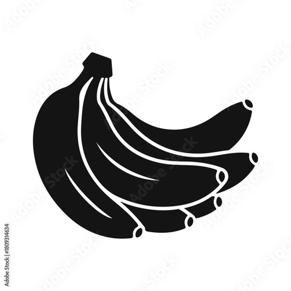 Obraz Vector banana branch in a clean black and white linear style with curved fruit and a simple tropical outline. Banana branch, tropical fruit, banana line, fruit outline, organic vector