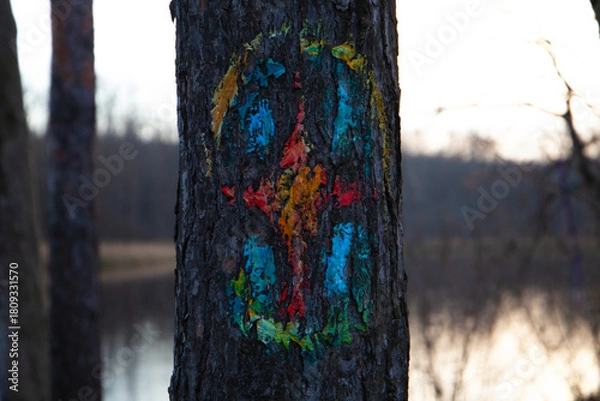 Obraz Painted Symbol on Pine Bark