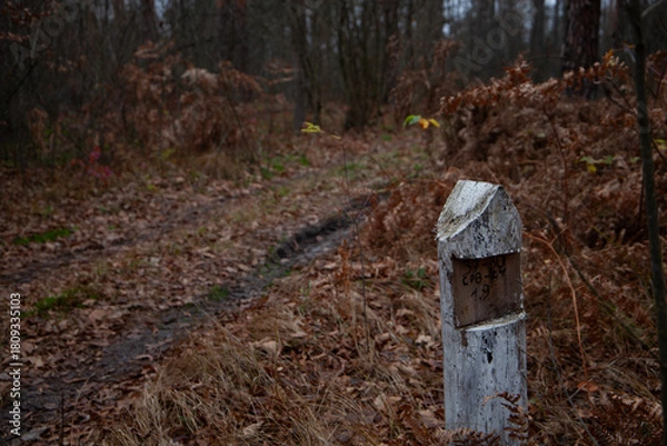 Obraz Weathered wooden marker in autumn forest