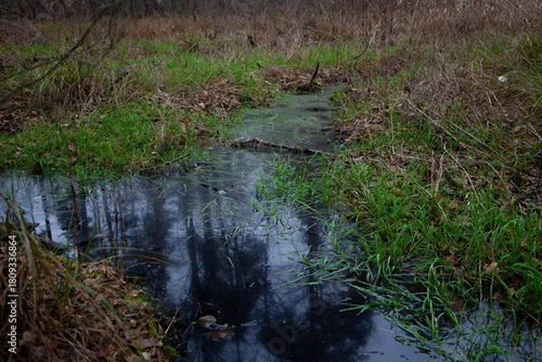 Obraz Autumn wetland with dark reflective water