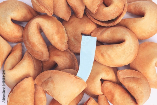 Obraz Fortune cookie with blank message