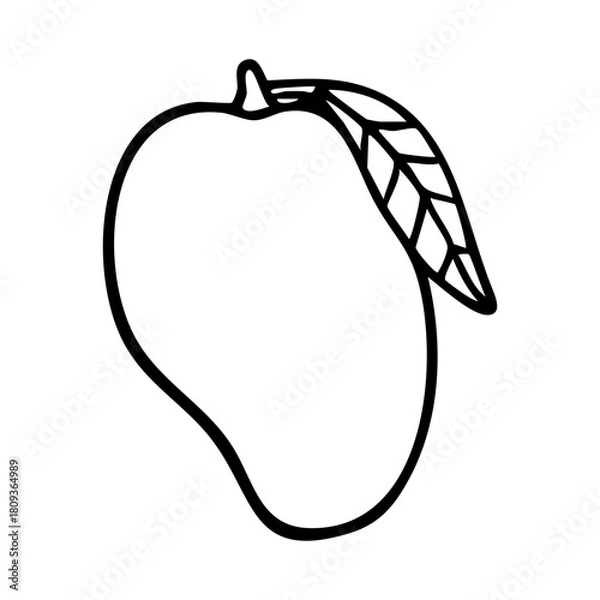 Obraz mango fruit outline