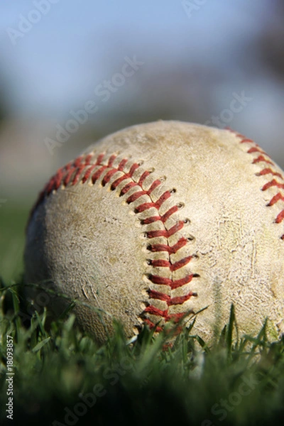Fototapeta baseball on field