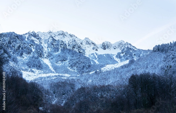 Fototapeta Snow-covered mountains under a clear sky. The landscape features tall peaks and a forest of evergreen trees in winter