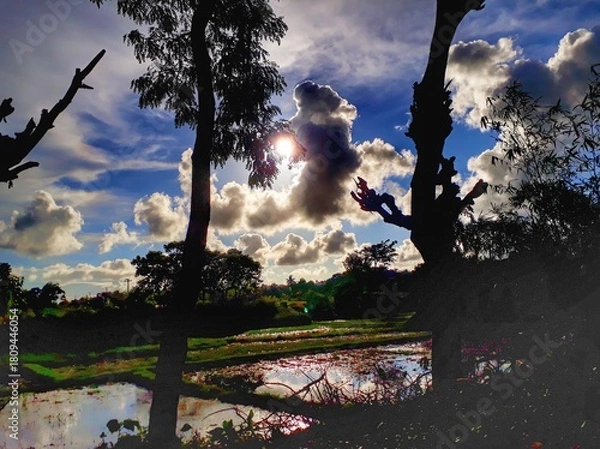 Obraz Rural landscape with sun behind clouds