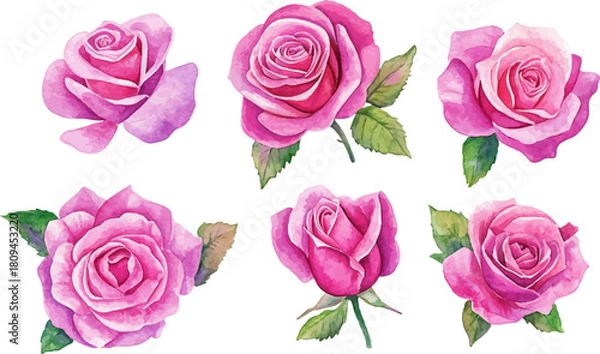 Fototapeta set of roses vector illustration