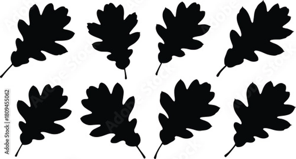 Fototapeta Vector Collection of Oak Leaf Silhouettes Illustrating Fall Autumn Foliage and Forest Nature Elements for Design, Decoration, and Seasonal Themes