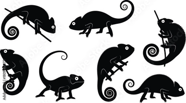 Fototapeta Vector Collection of Chameleon Silhouettes Climbing, Sitting, and Walking on Branches Illustrating Diverse Tropical Reptiles with Curled Tails and Large Eyes